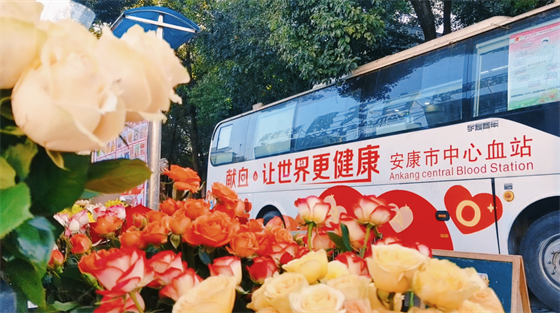 安康這三兄妹，熱血！